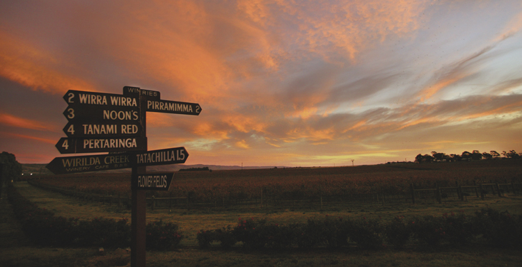 South Australian Winery Signboards in the sunset