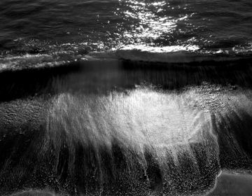 Breaking Wave Lilly Pilly by Stephen Ward